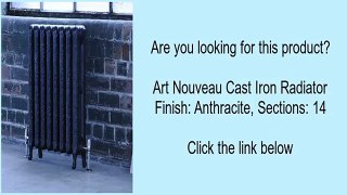 Art Nouveau Cast Iron Radiator Finish: Anthracite, Sections: 14