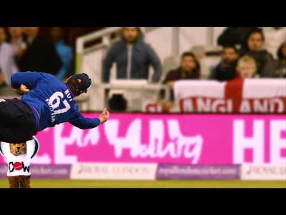 The Furred Umpire helps Jason Roy 'bear' down on the ball and take a catch