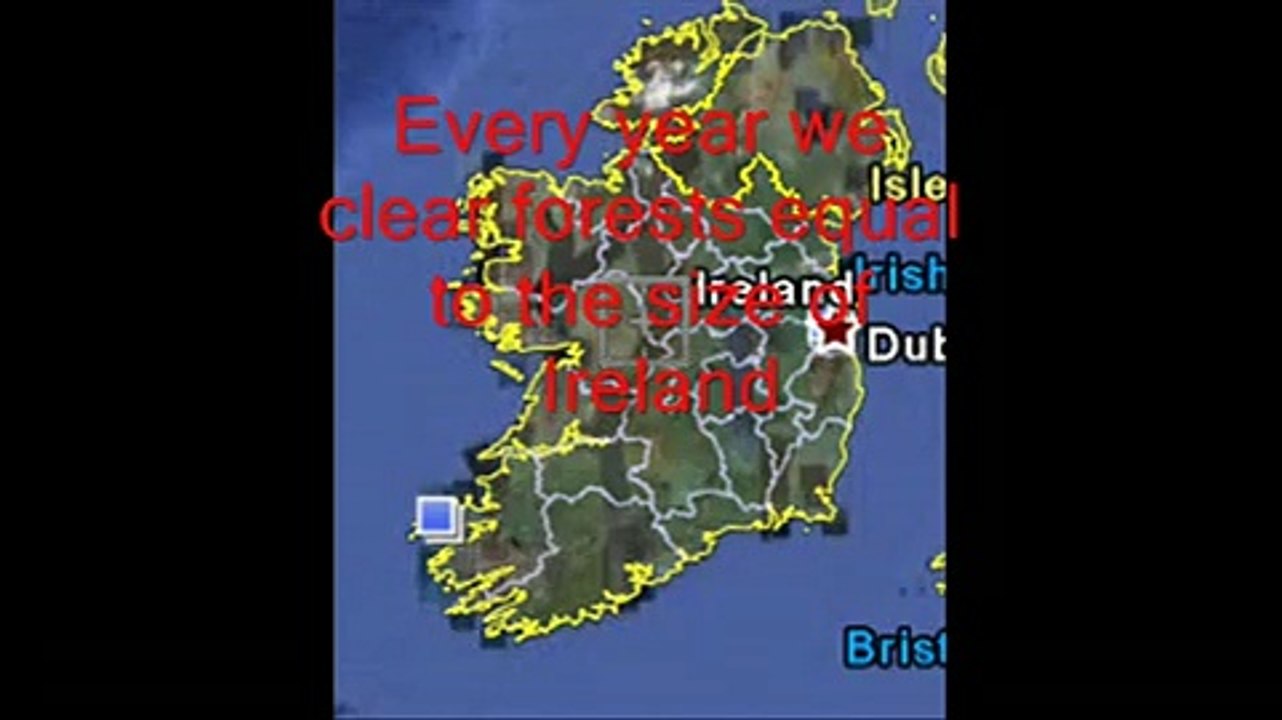 Steve Fielding Andrew Bolt dumb and dumber