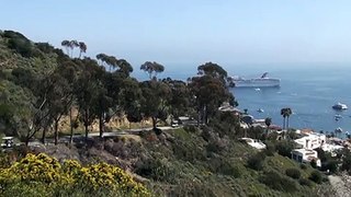Catalina Island, a view from the hill
