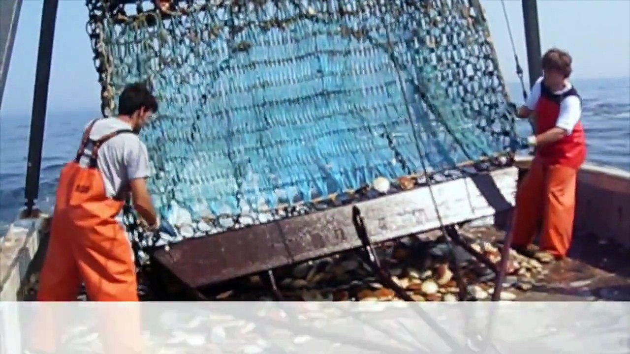 Small Boat Scallop Dredging