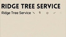 arborist basking ridge