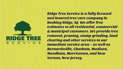 storm damage basking ridge