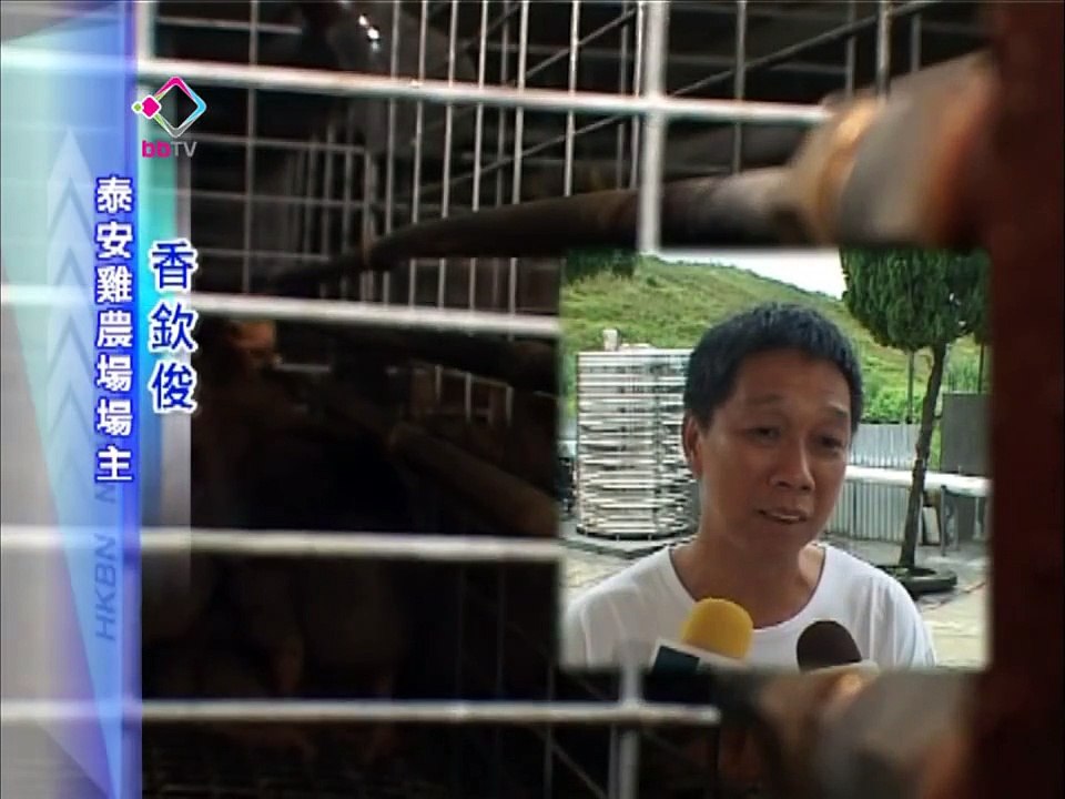20100922 環保雞場年省三成能源開支