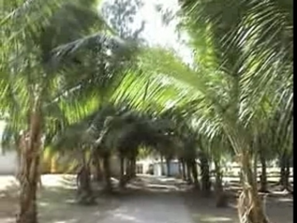 visite du village de corail