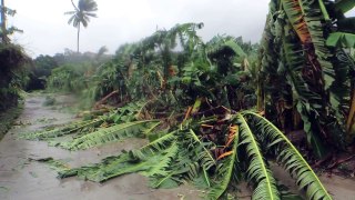 Filipinos vs Typhoon Haiyan / Yolanda...