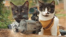 Les chats prennent les armes pour affronter une armée de mort-vivants