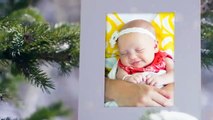Winter Holidays Photo Gallery on Snowy Trees - After Effects Project Files | VideoHive 9828695
