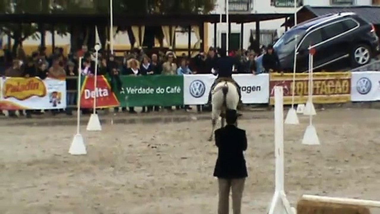 Golegã 2010, Equitação de trabalho, VANG GOGH