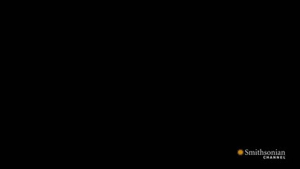 Leoparın Yavru Babun Avı