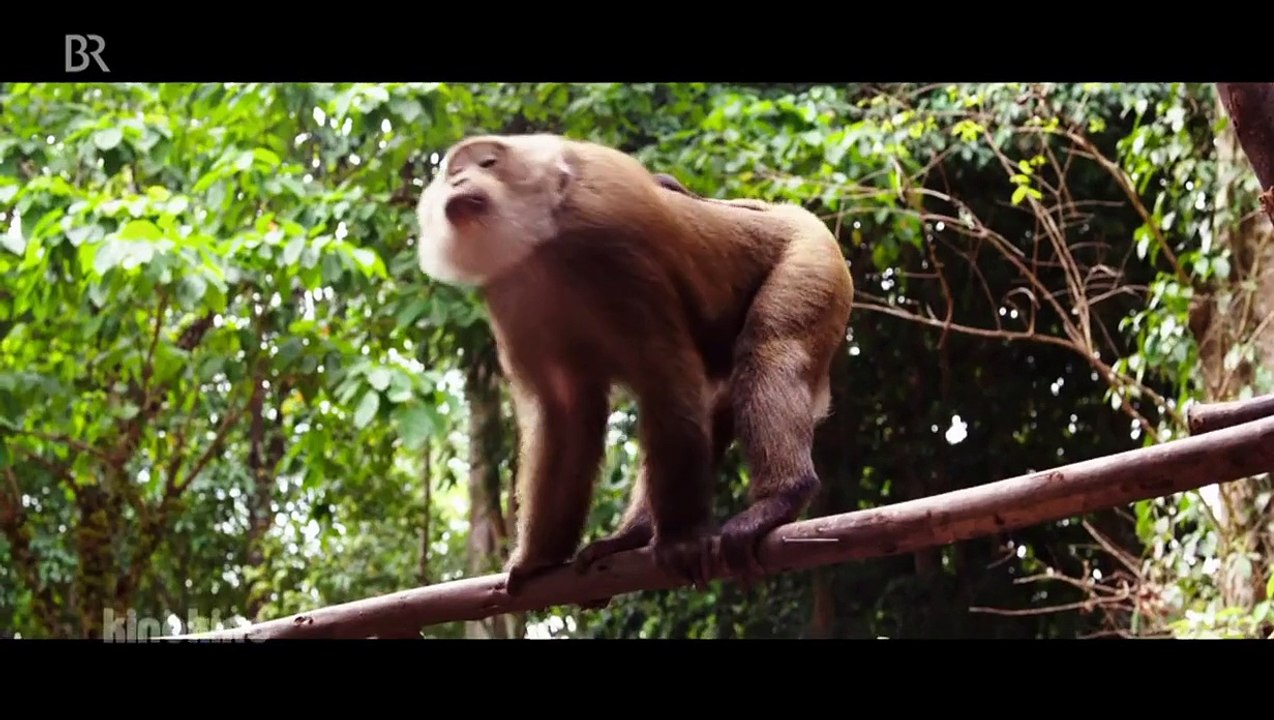 Fack Ju Göhte 2, 45 Years, Knight Of Cups - Die Neustarts vom 10. September