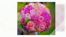 Send Flowers To Delhi | Delhi Online Florist