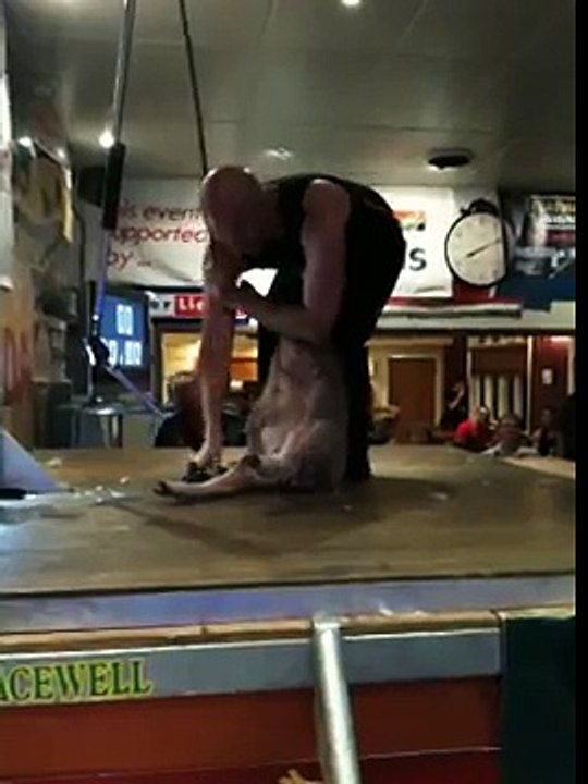 David Fagan, Worlds Fastest Speed Shear! 14.06sec