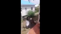 Saint Lucian Thief Gets Beat With Tree Branches After Getting Caught Stealing! [Full Episode]