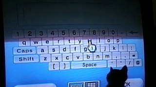 Kitten attacks brand new Wii