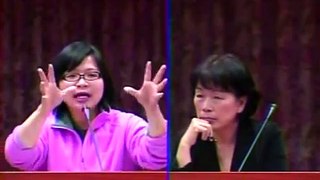 2012-3-8林淑芬委員質詢文建會龍應台主委