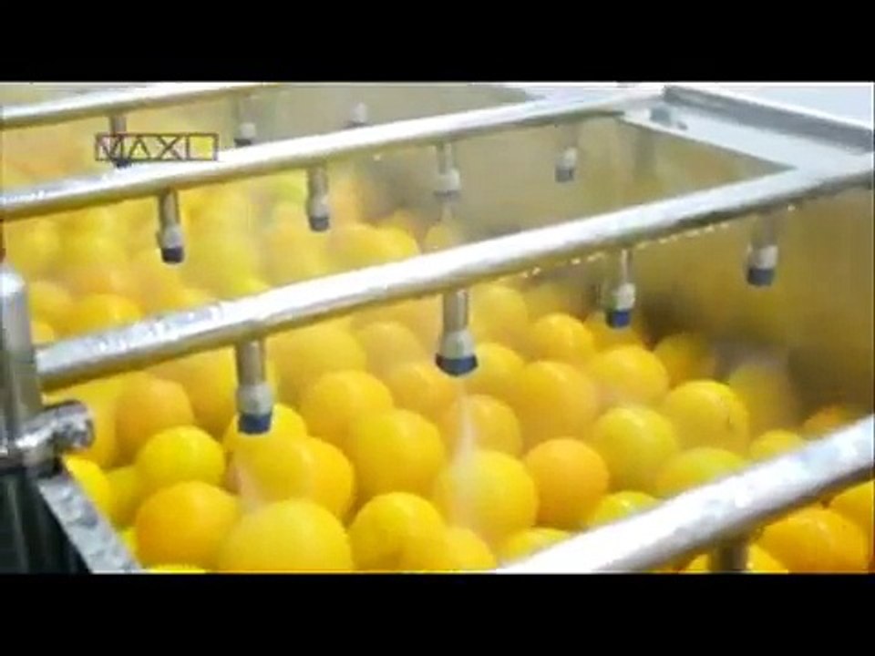 Lavadora, Cepilladora, Peladora, Rebanadora, Cubicadora de Frutas y Verduras