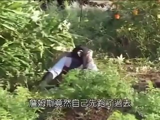 Maymun Deyip Geçmeyin, İzleyin