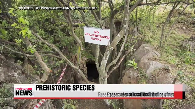 Scientists release findings on new species of ancient human