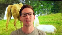 Alte Nutztierrassen Folge 26: Blobe Ziege, Bedrohte Tiroler Gebirgsziegen Rasse, Tier Doku