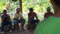 GreenPeace difende la foresta amazzonica con la tecnologia
