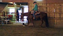 2000 AQHA mare by Don't Skip Zip with 44 AQHA points