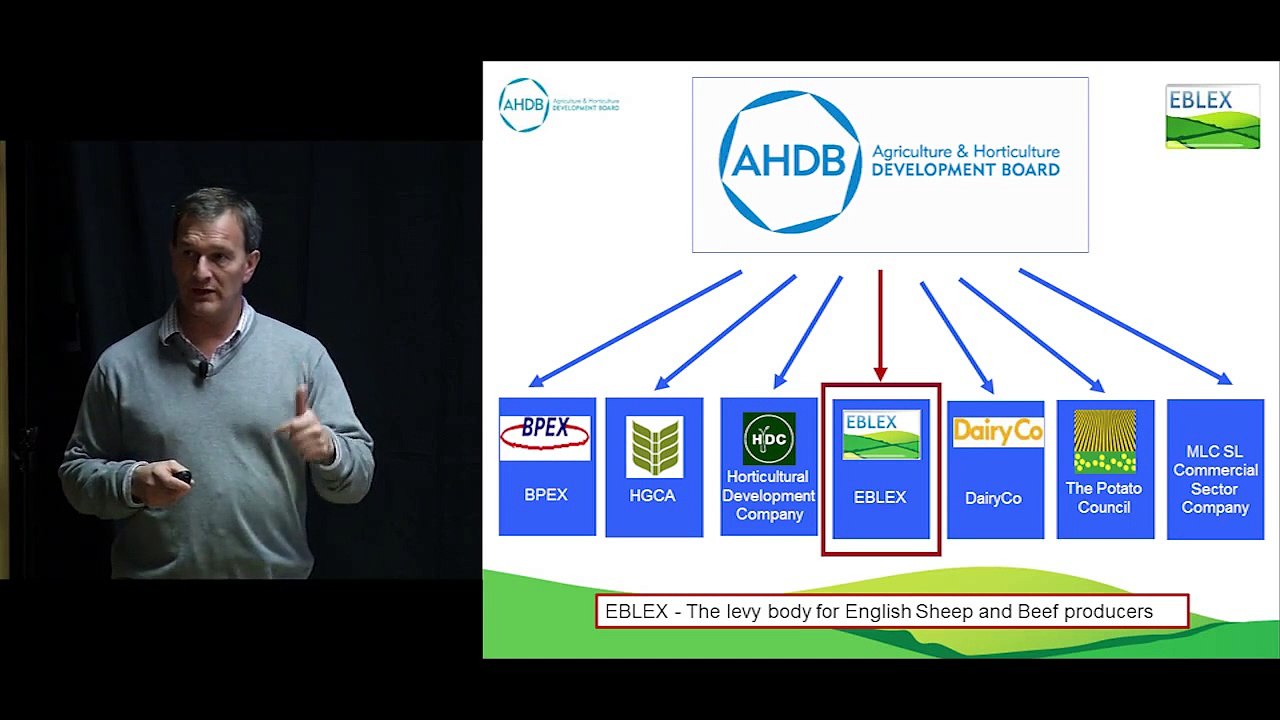 Chris Lloyd "EBLEX and the English Sheep Industry"