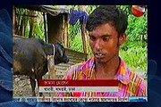 Today Bangla News Live 11 September 2015 On Channel 24 All Bangladesh News