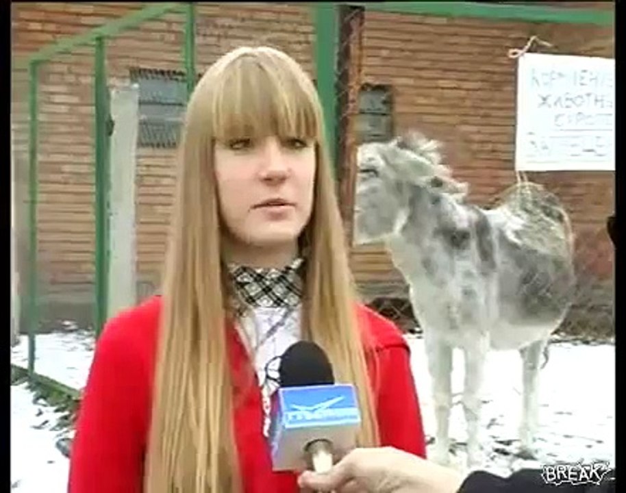 Un âne lâche un gros pet