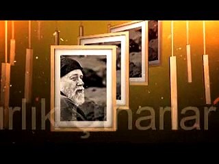 ASIRLIK ÇINARLAR B26 NACİYE GÜL