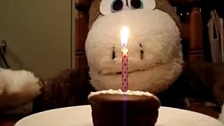 Birthday Greetings - Singing Dog