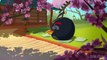 Angry Birds Toons / cute cartoon kids /