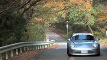 Porsche 993 GT2