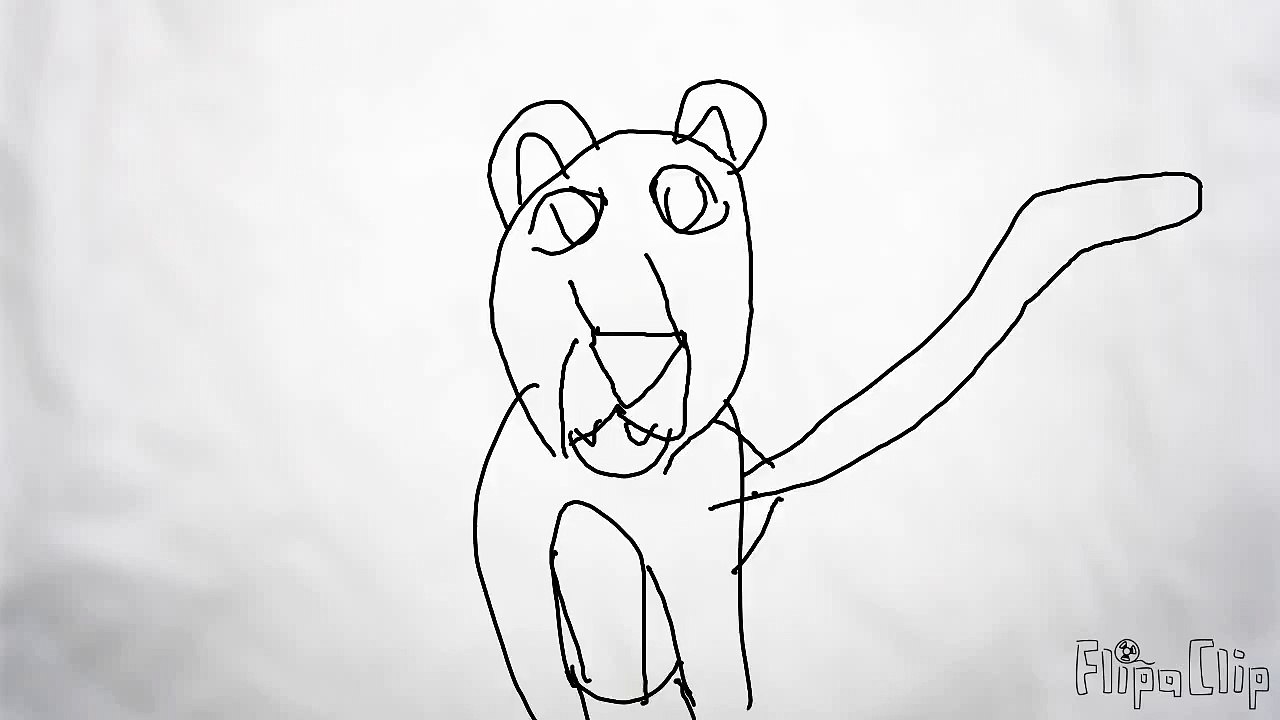animals