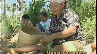 Quebradeiras do Maranhão garantem sustento de suas famílias
