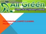 best carpet cleaning Palmdale