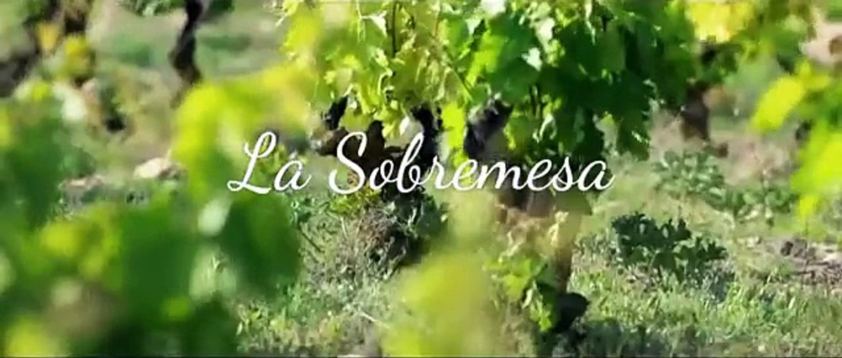 La Rioja Apetece,  'Platos'