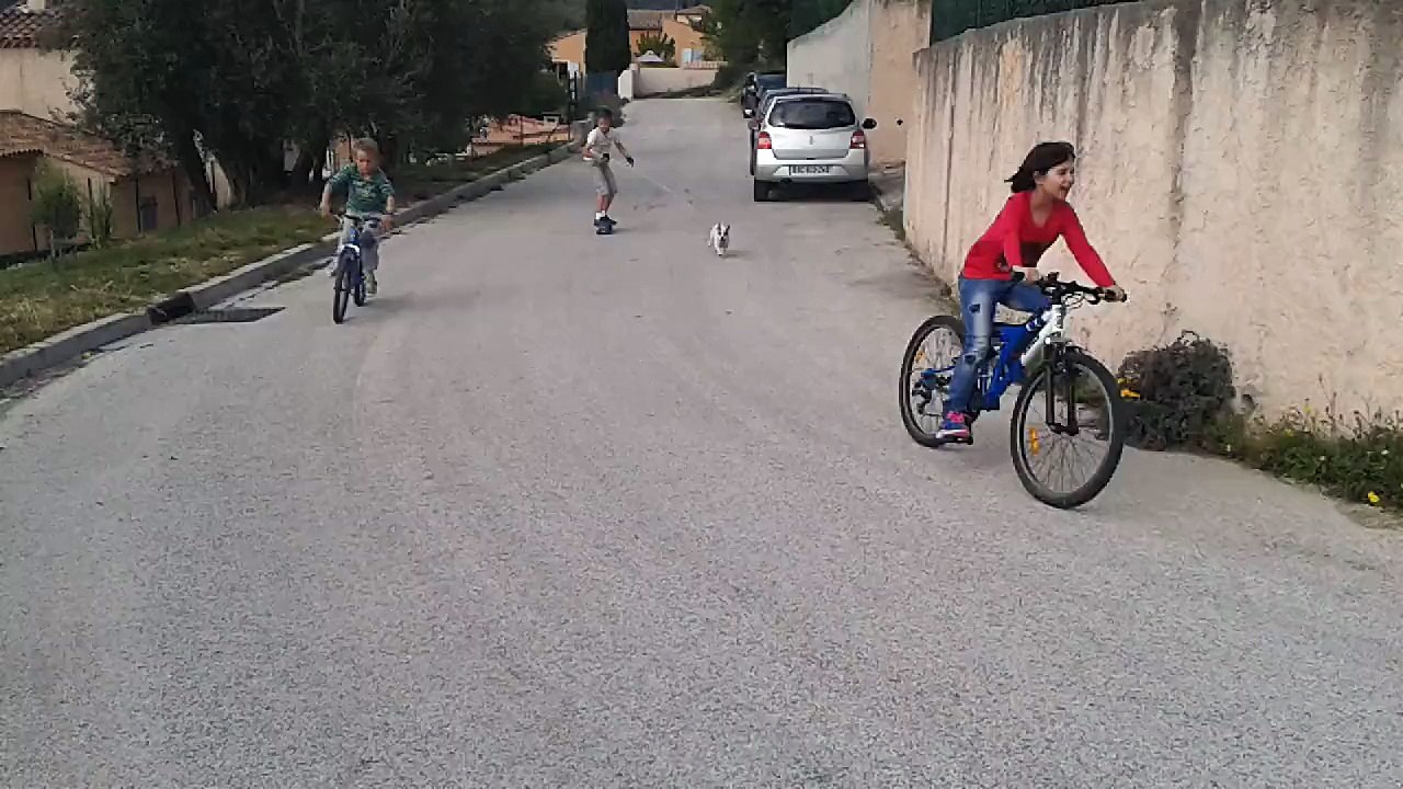 20150425 Elisa Virgile Skateboard Dog pulling 1