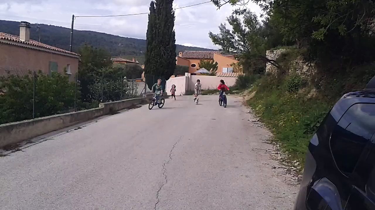 20150425 Elisa Virgile Skateboard Dogpulling FAIL