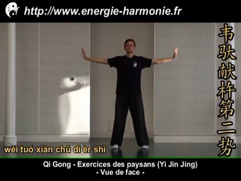 Qi Gong des paysans (Yi Jin Jing - 易筋经)