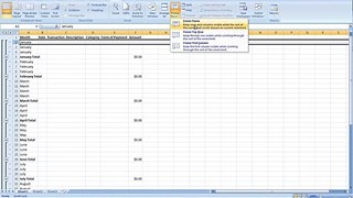 How to Create a Daily Expense Record in Microsoft Excel 2007