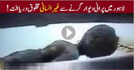 4 inch midget in Old House