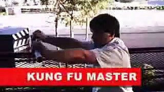 Fake Kung Fu Master #2: A New Challenger Approaches!