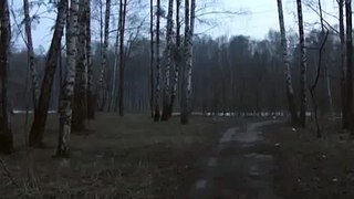 Лось. Просто лось. One of the best videos featuring an elk.