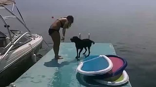 Dog can't jump