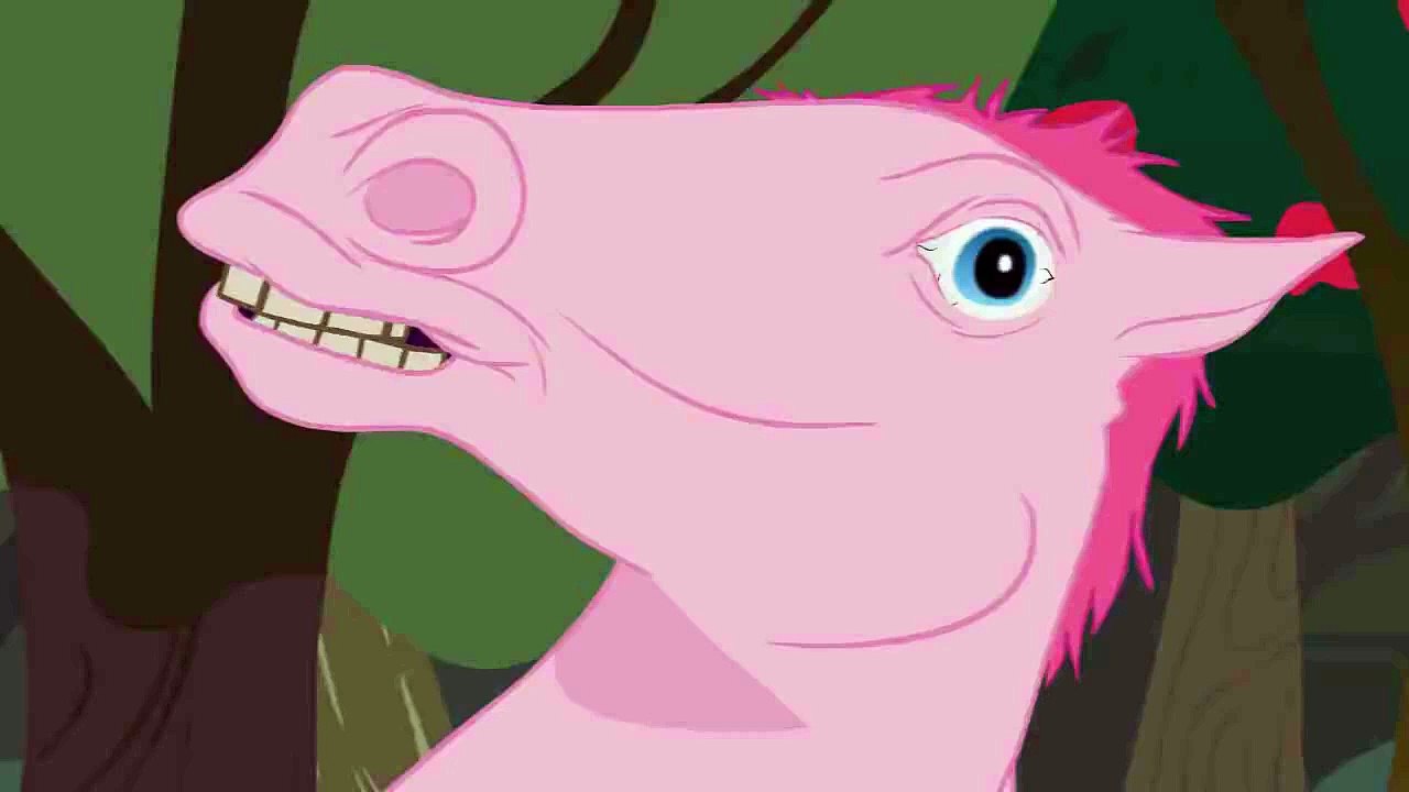 Are you nuts?! I'm a horse!