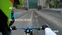 ZAP DU WEEK-END #231 : Lions VS Mangouste / Il descend un barrage en vélo / Chien de berger miniature /