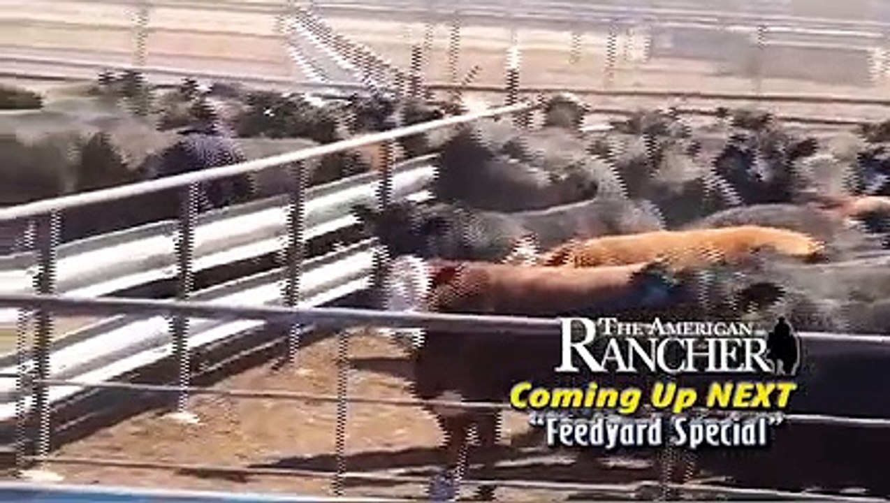 FEEDYARD SPECIAL PROOF 070113