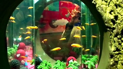 20150710-20150809 Wonderful Life in Korea partIII