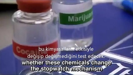 Farelere kokain verme deneyi (Türkçe Altyaz)